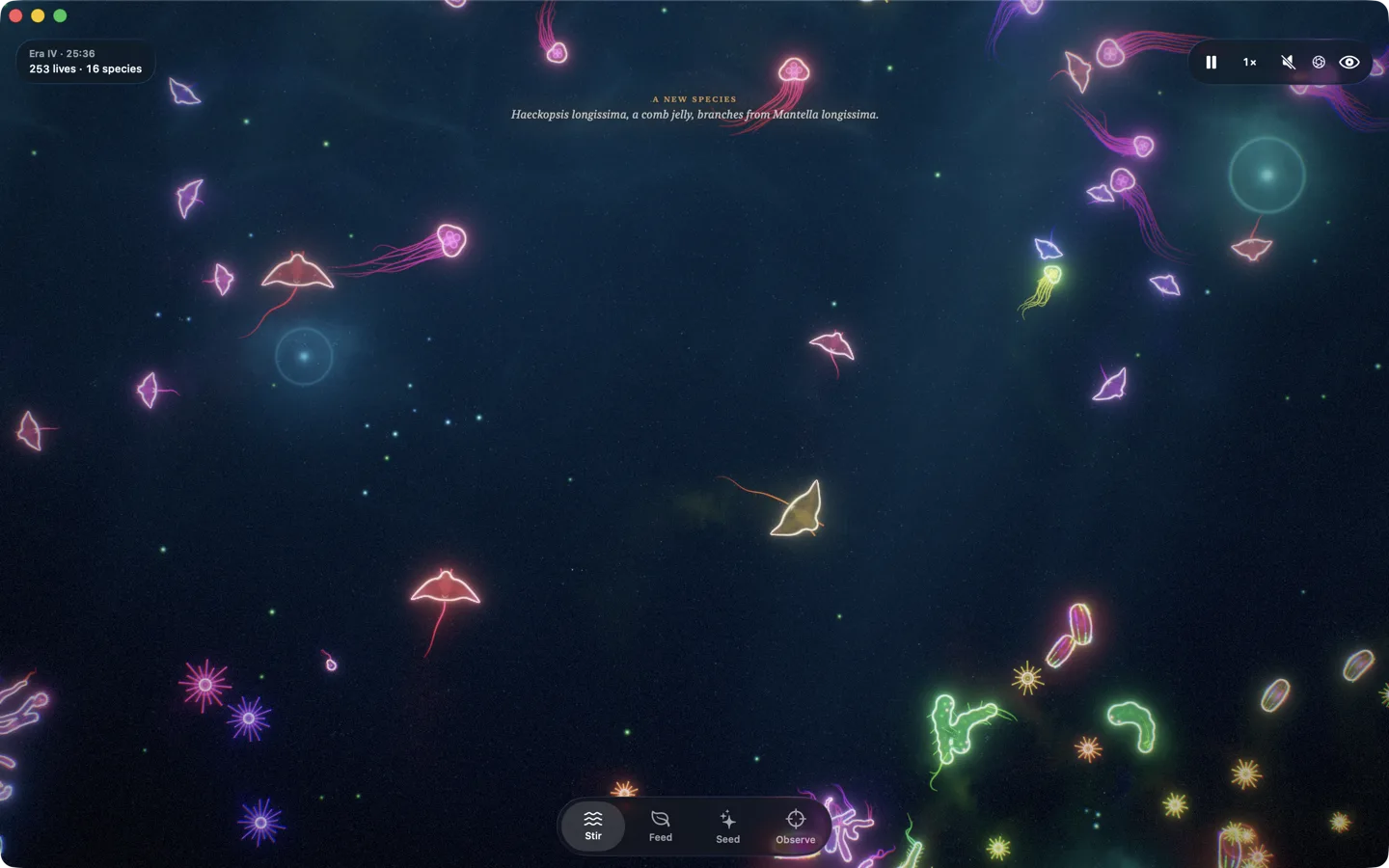 Primordia on the Mac: rays, medusae, comb jellies and radiolarians across a wide window, a note that a new comb jelly species has branched off, and the four tools below.