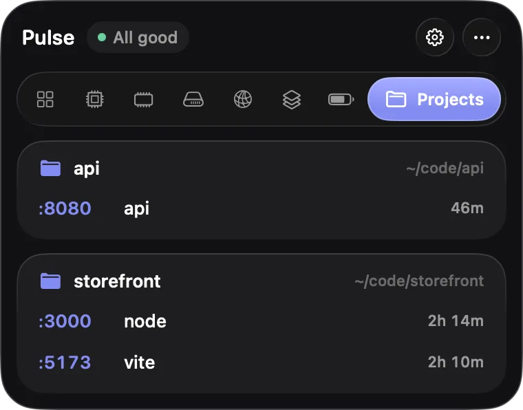 The Projects tab: an api server on port 8080 and a storefront with node on 3000 and vite on 5173.