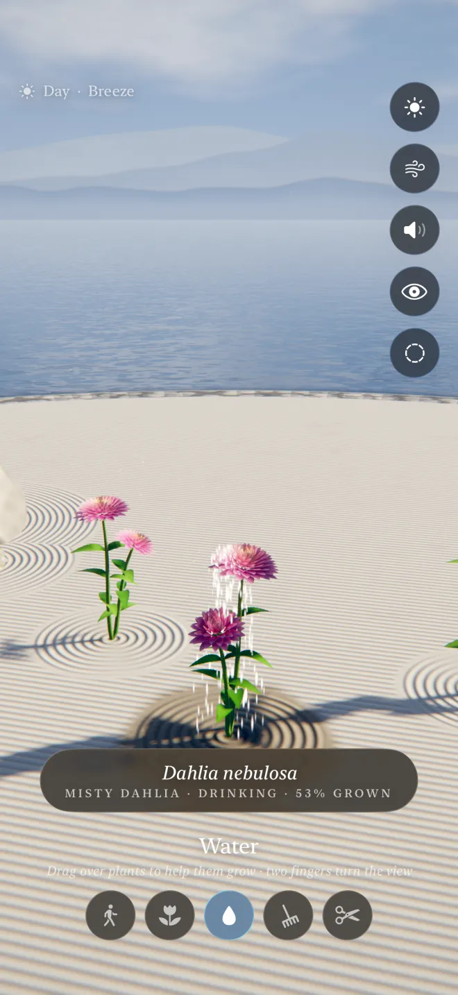 The watering can pours over a young dahlia, the sand darkens around it, and a note reads “Dahlia nebulosa, Misty Dahlia, drinking, 53% grown”.